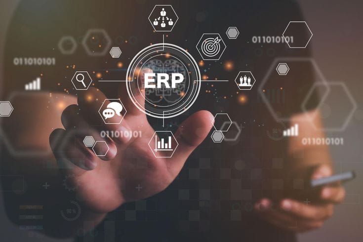 ERP Customize Software